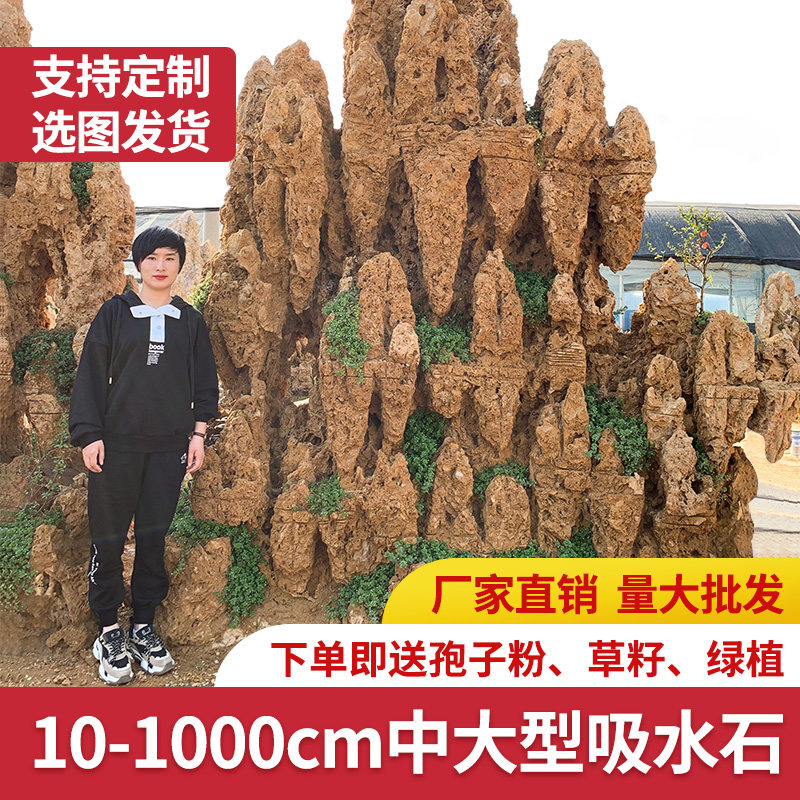 山厅大盆天然吸水石原石假客型景庭院鱼池上水石流水装饰造景摆件