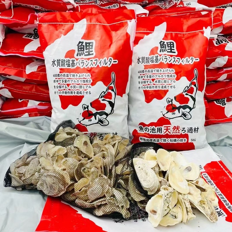 蚝壳滤材鱼缸锦鲤池过滤材料牡蛎壳鱼池降PH值火烧生蚝壳稳定水质