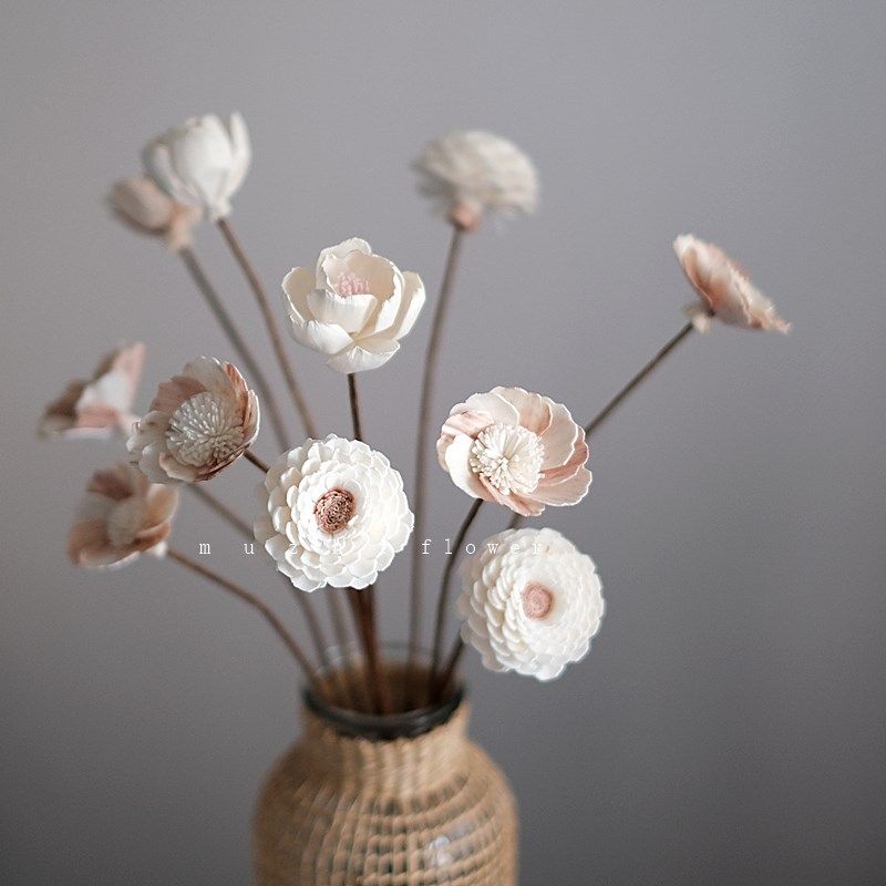 桃花大丽花干花花束客厅摆设高级感真花风干天然通草花客厅摆设,家居饰品,干花/花瓣/干花包/干树枝,淘宝优惠券,粉丝福利购,淘宝优惠卷