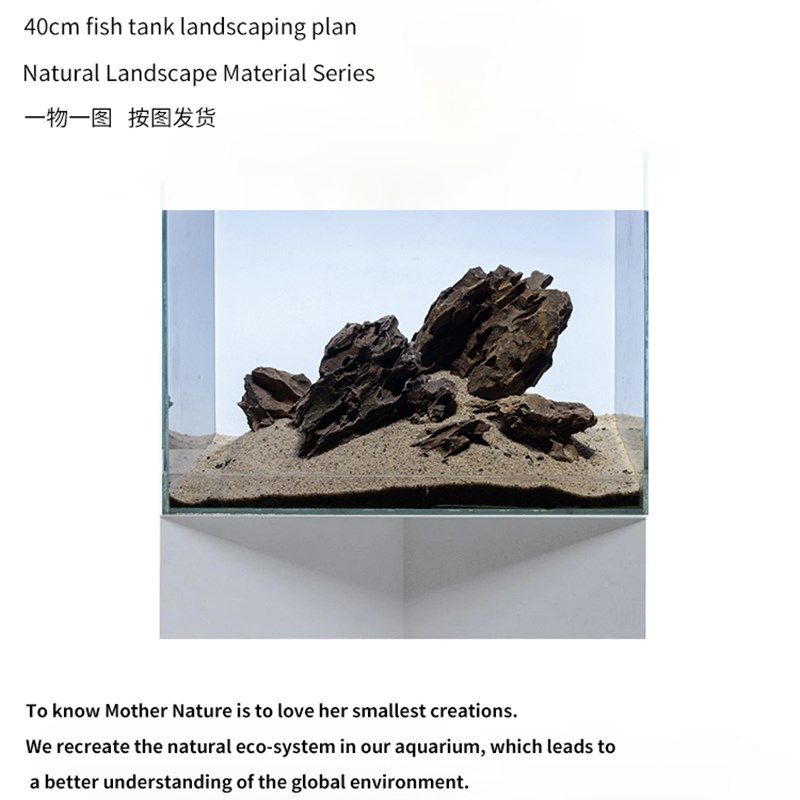 鱼缸造景皮材组合40cm草缸原生溪沉南美青龙石松素石流木小缸套餐
