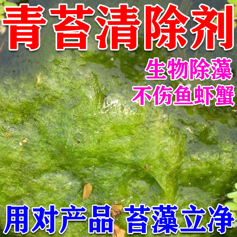 鱼池除藻去苔剂不伤鱼虾蟹速杀青苔药绿水藻去除剂水池青苔清除剂,宠物/宠物食品及用品,除藻剂,淘宝优惠券,粉丝福利购,淘宝优惠卷