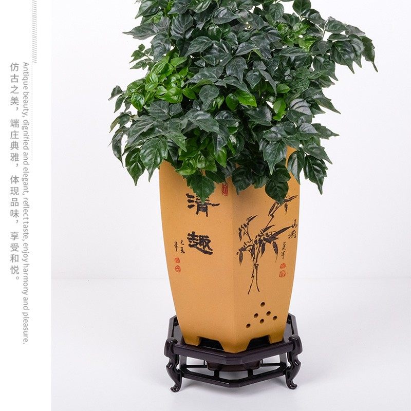 花盆托盘底座塑料花盘加厚接水盘花盆垫底客厅仿复古摆件托盘花托,鲜花速递/花卉仿真/绿植园艺,花托/移动托盘,淘宝优惠券,粉丝福利购,淘宝优惠卷