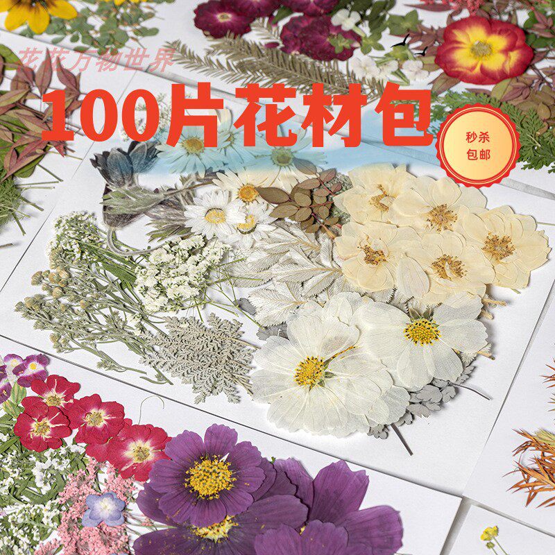 幼儿diy材料包滴胶相框手工团扇贺卡书签押花材料玫瑰树叶大花包