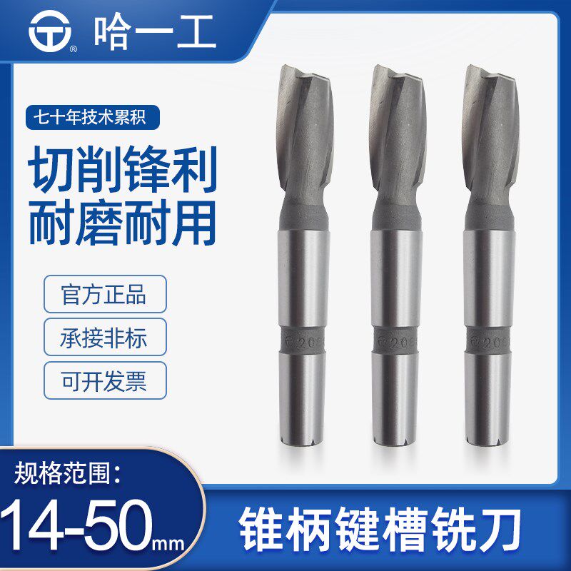 哈一工高速钢锥柄键槽铣刀哈尔滨哈工二刃白钢铣刀14161820224050