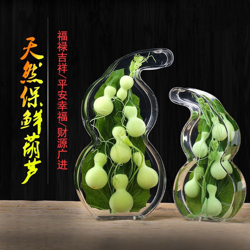 天然葫芦摆件保鲜绿色真葫芦玄关博古架礼品客厅办公室家用镶嵌平