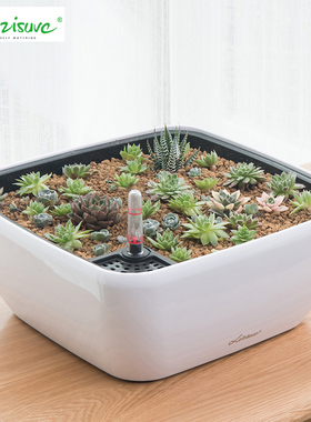 莱之秀大口径多肉绿萝花盆自吸水方形圆形塑料免浇水懒人桌面花盆