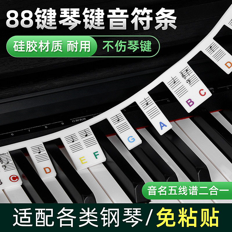 钢琴彩色键盘贴免粘贴88键电钢琴琴键贴按键贴五线谱简谱音符音标