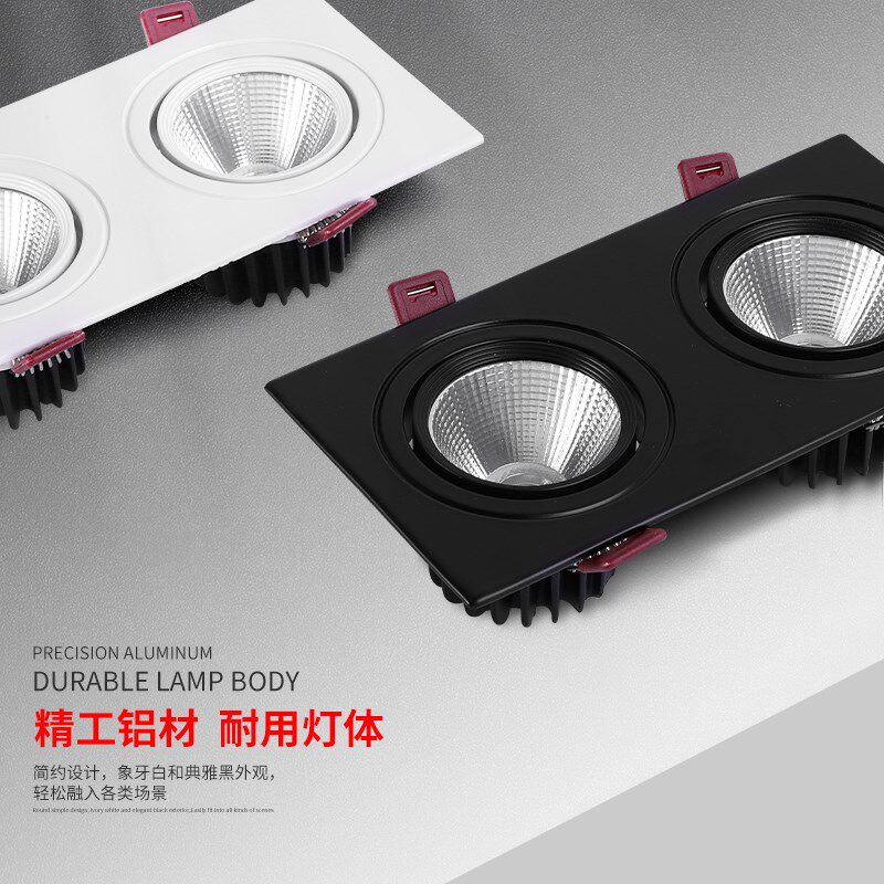 嵌入式双头射灯led黑色长方形斗胆灯天花客厅家用玄关过道格栅灯
