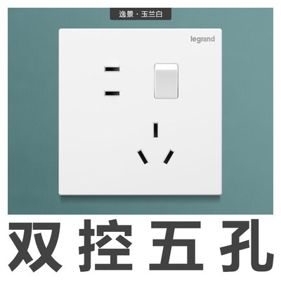 罗格朗仕典逸景玉兰白带开 关插座面板双切1开 5孔插座一