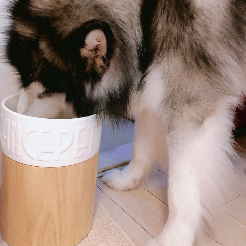狗碗狗护猫碗狗饭盆大狗粮碗宠物陶瓷食水盆大型犬食盆防打翻碗颈