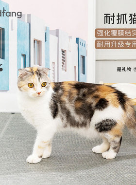 dfang猫垫子睡觉用防水防尿耐咬狗垫子睡垫宠物地垫pvc专用窝冬季