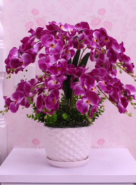 仿真花蝴蝶兰客厅餐桌摆件现代装饰花艺假花兰花塑料花插花花束