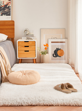 加厚白色毛绒床边毯满铺卧室床前地毯女孩房间飘窗垫学生宿舍地垫