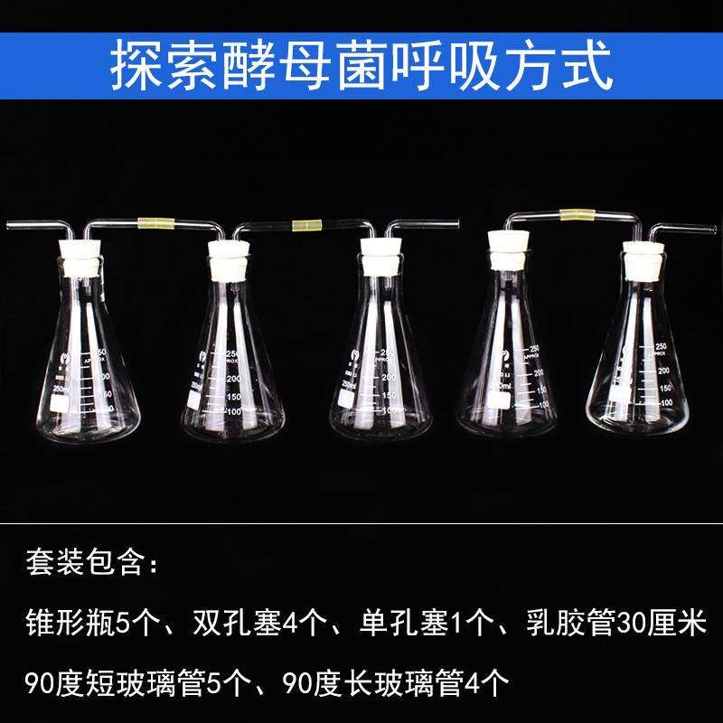 探究酵母菌呼吸方式实验演示用具套装全套含锥形瓶双孔单孔橡胶塞