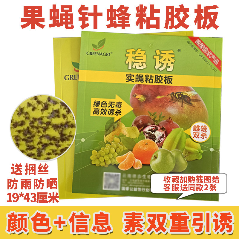 稳诱实蝇粘胶板果蝇贴针蜂粘虫板大食蝇贴果园诱虫板信息素实蝇板