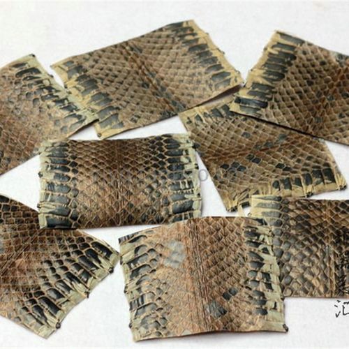 5斤以上乌蛇皮尾部上佳位置 单块京胡皮乌皮黑皮京胡蒙皮乌稍蛇皮