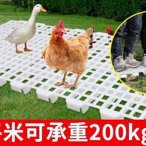 鸡用漏粪板鸡鸭家禽接粪板地板小鸡养殖保育加厚鸽子塑料鸡舍
