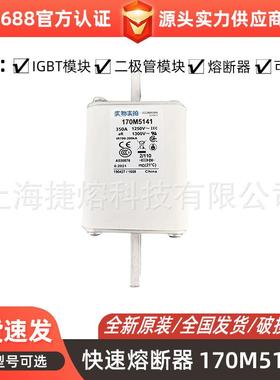 170M5141170M5142快速熔断器保险丝电子元器件量大价优