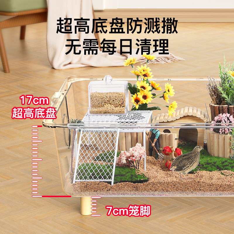 芦丁鸡饲养箱笼子大号亚克力透明观赏卢丁室内保温全套造景专用品
