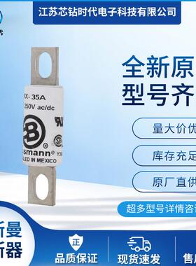 FWX-35AFWX-40AFWX-45A巴斯曼BUSSMANN快速熔断器保险丝