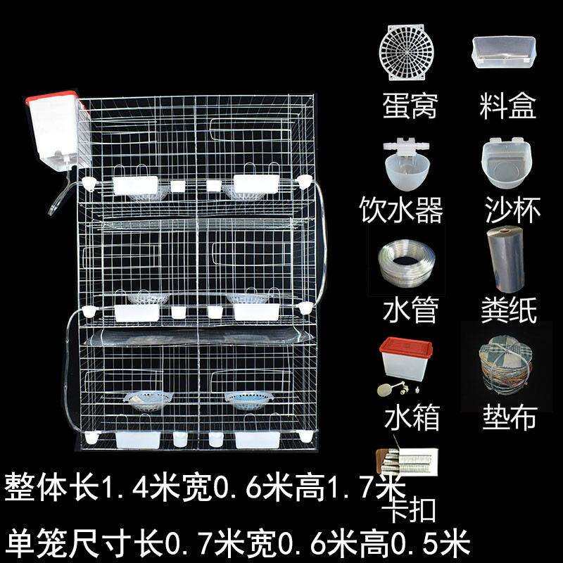 鸽子笼家用特大号鸽子笼子繁殖配对养殖笼肉种鸽元宝养鸽子专用笼