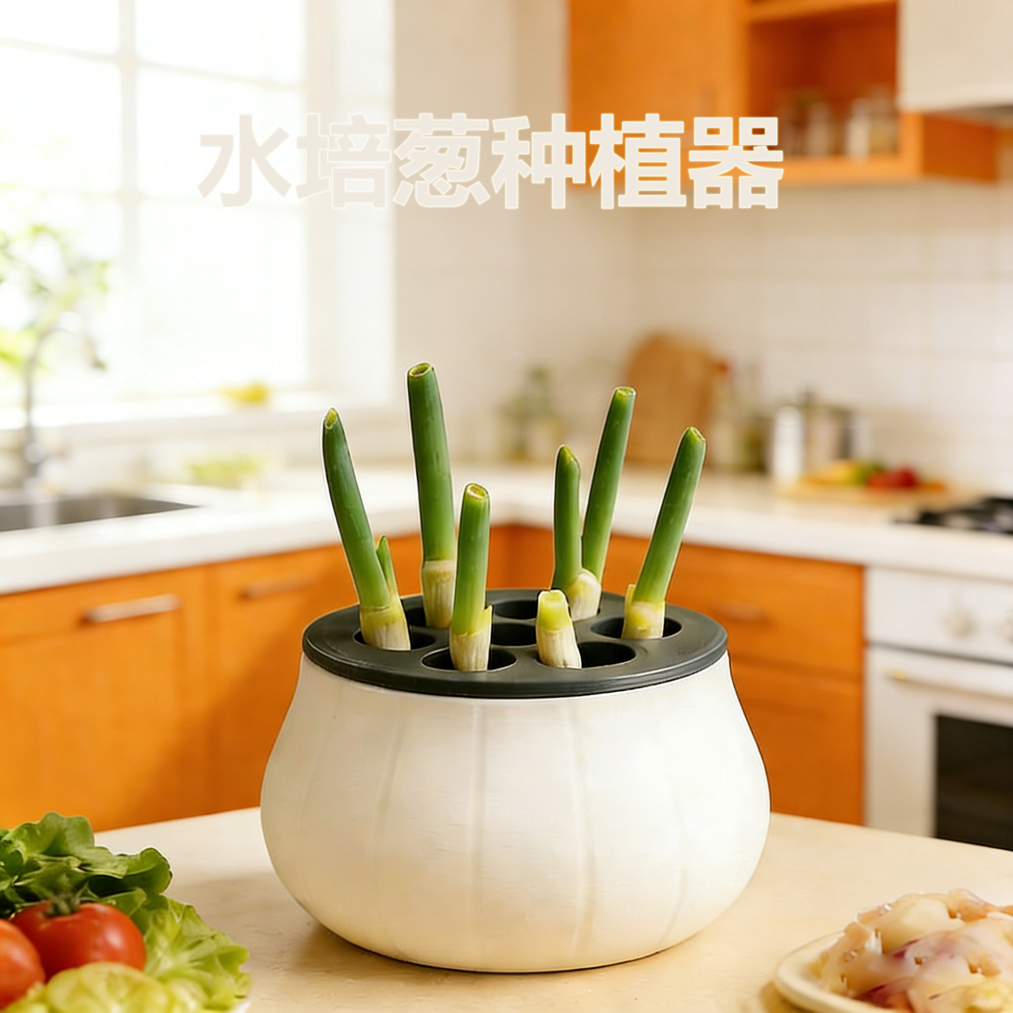 水培葱种植器免土再生厨房阳台种葱神器懒人自动水养家用盆神器