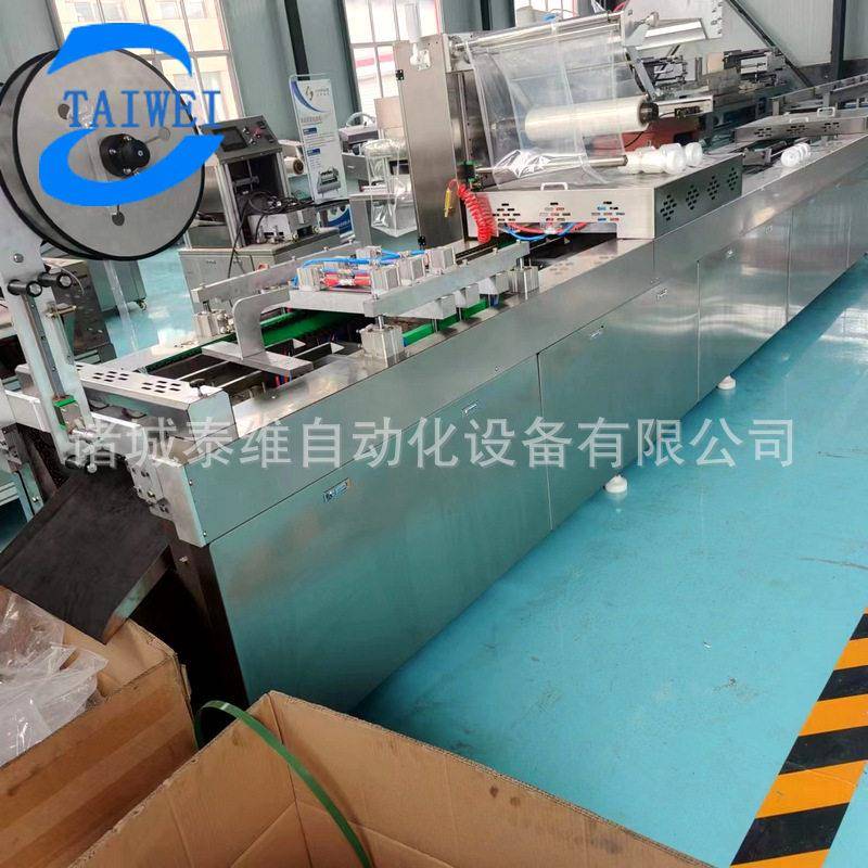 全自动连续式冻干草莓独立真空包装机武汉麻辣鸭头真空包装机