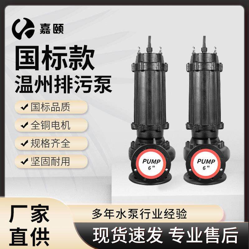温州款排污泵11KW高扬程工程泵下水道污水泵农田灌溉抽水泵可