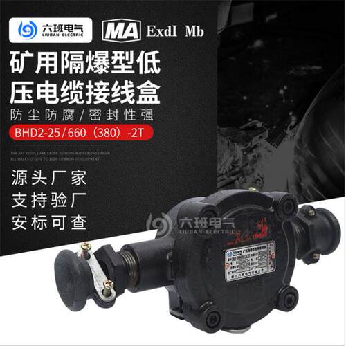 矿用低压接线盒 BHD2-25/660(380)-2T两通电缆分线盒壁挂式接线盒
