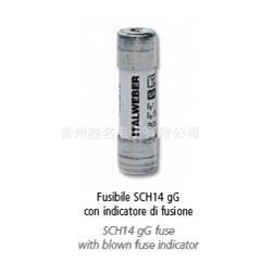 ITALWEBER 熔断器22*58 690V CH22 aR 50A 1462050 保险丝 品质