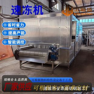 海红果流态化隧道式速冻机 厂家金源盛 水果平板式单冻机设备厂家