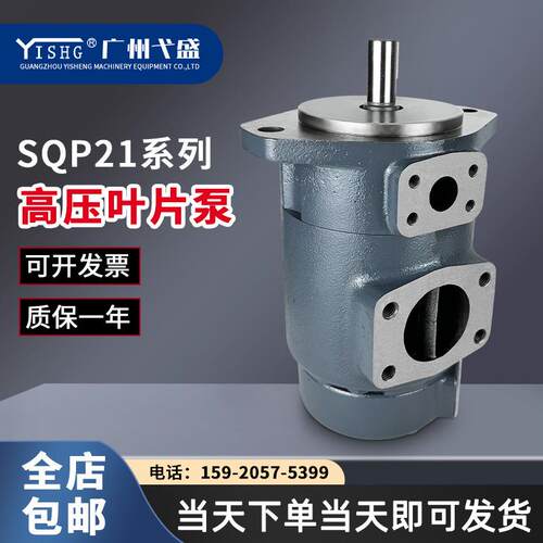 SQP21-21-6-1AB/1AC/1AD-18电动双联高压定量叶片油泵液压泵油泵