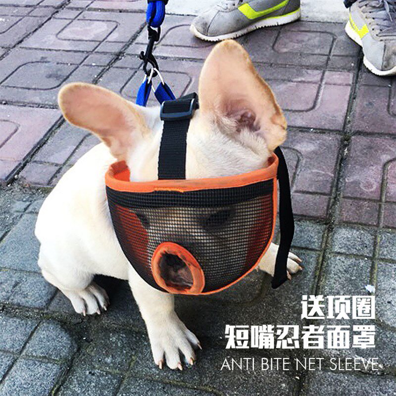 扁脸短嘴狗狗嘴套法斗口罩防咬防乱吃捡食英斗巴哥斗牛犬嘴套面罩