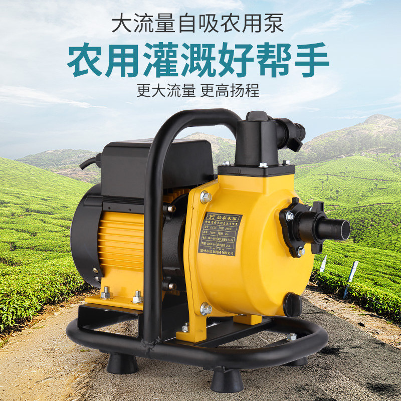 晨泰直流无刷变频自吸泵48V60V电动车抽水泵直流油泵柴油泵卸油机