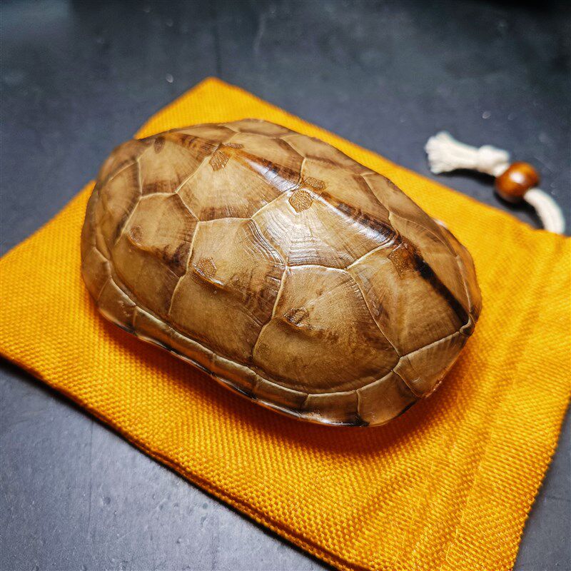 天然完整真乌龟壳精品玉面草龟壳文玩盘玩手把件龟甲黄玉龟甲卜