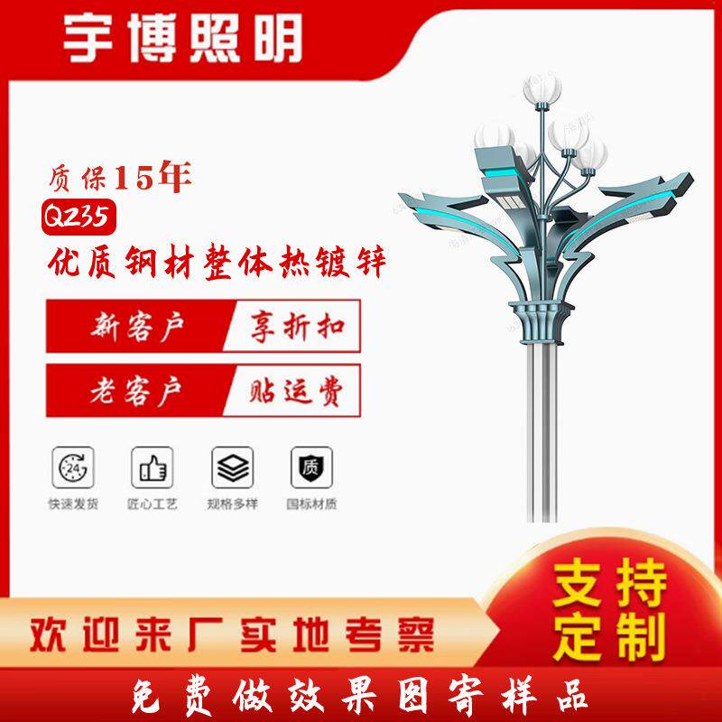 市政工程户外市电路灯户外花园小区室外景观灯飞龙乘云系列厂家批