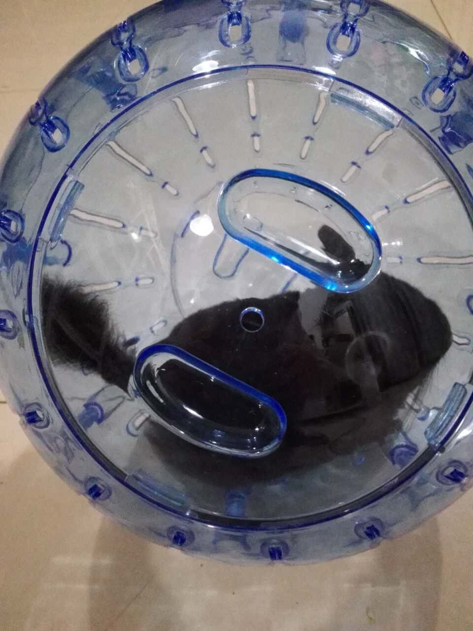 龙轮健身工具/玩具/超大身明龙猫跑球/跳猫玩具球放风活动健透球