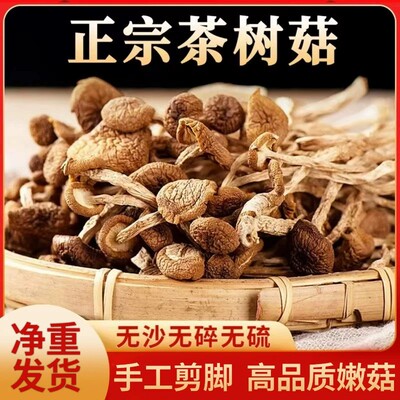 新货古田茶树菇干货鲜嫩