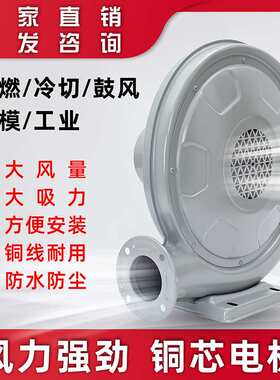 永成CZ-TD550W220V炉灶中压离心式燃烧机锅炉鼓风机吹干中压风机