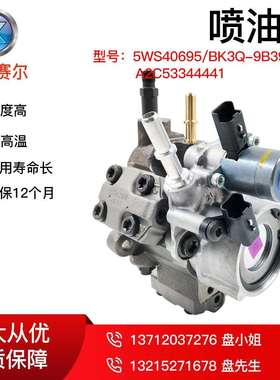 原装新5WS40695、5WS40699A、BK3Q9B395AD柴油燃油泵A2C59517043