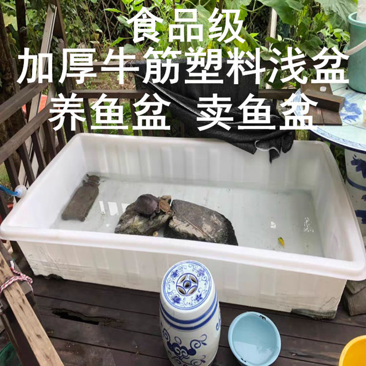 加厚大号塑料牛筋浅盆水产养殖海鲜长方形熟料方盆环保养龟盆滚塑
