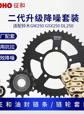 适用铃木GW250 GSX250R DL250征和油封链条牙盘静音链轮三件套链