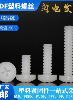 PVDF耐腐蚀耐强酸碱M2-M10十字盘头塑胶螺钉圆头十字pvdf塑料元机