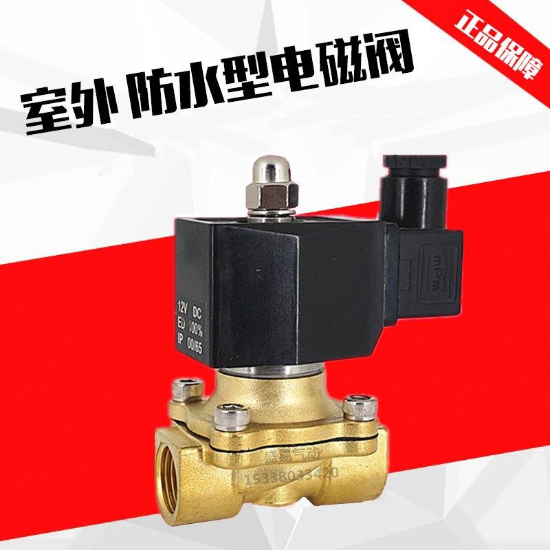 4分室外专用防水电磁阀水阀开关阀2W160-15 防雾气阀AC220V DC24V