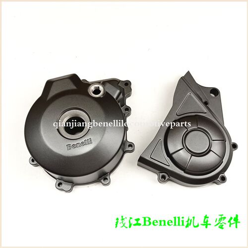 适用蓝宝龙BJ300GS/-C/A/3/黄龙BN302磁电机邉盖左盖左后盖小链盖