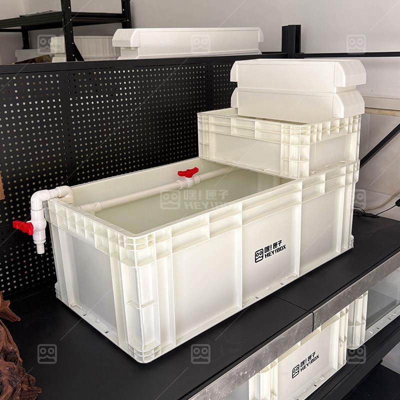 嘿匣子大龟周转箱龟缸乌龟缸可视养龟专用饲养缸大尺寸生态周转箱,宠物/宠物食品及用品,龟缸,淘宝优惠券,粉丝福利购,淘宝优惠卷