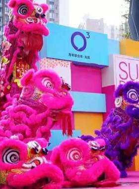 舞狮醒狮队民间南狮头耐摔羊毛武术比赛道具喜庆城市狮鼓庆典活动