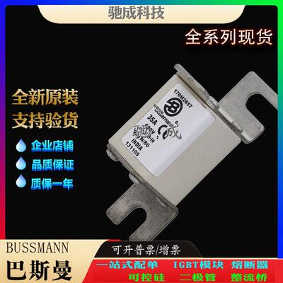 巴斯曼170M2657 170M2658 170M2659 经销出厂价格 快速保险丝