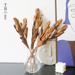 进口带叶子雪莲花诧寂风厅级真干花风干感花客高民宿样板房装饰