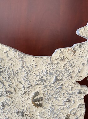 燕子石奇石古生物观赏工艺礼品摆饰礼红科普网包摆件化石地图三叶